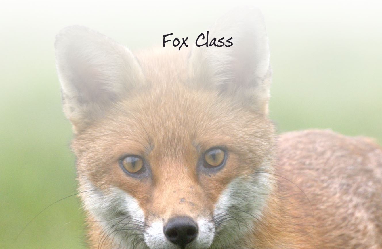 Foxclass