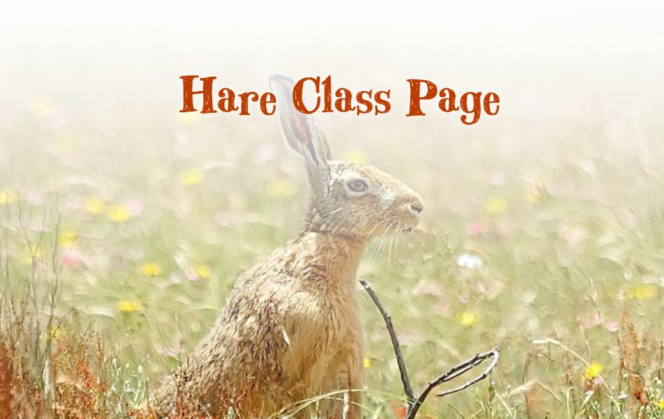 Harepage